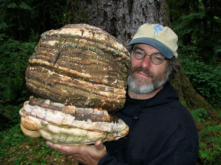 Paul Stamets holding a large Agarikon bracket mushroom.