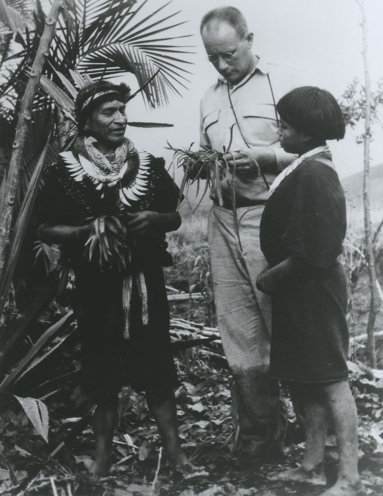 A 1940s black-and-white photograph of the ethnobotanist Richard Evans Schultes with two Indigenous men in the Amazon rainforest.