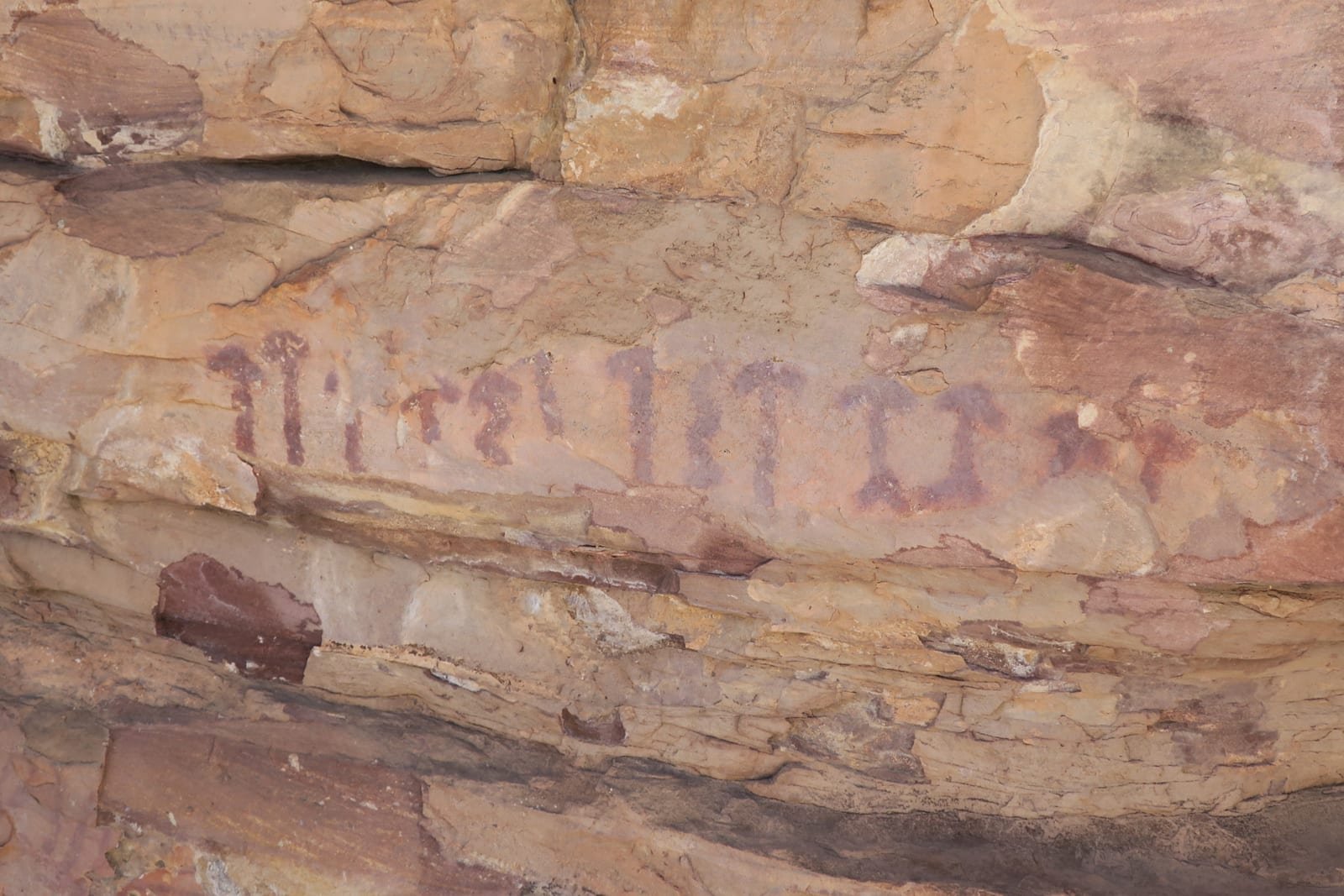 A prehistoric rock painting at Selva Pascuala, Spain, showing a bull and a row of small stalked, bell-capped forms read by some as mushrooms.